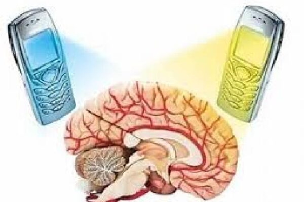 Bahaya Sinyal HP: Fakta dan Mitos yang Perlu Diketahui