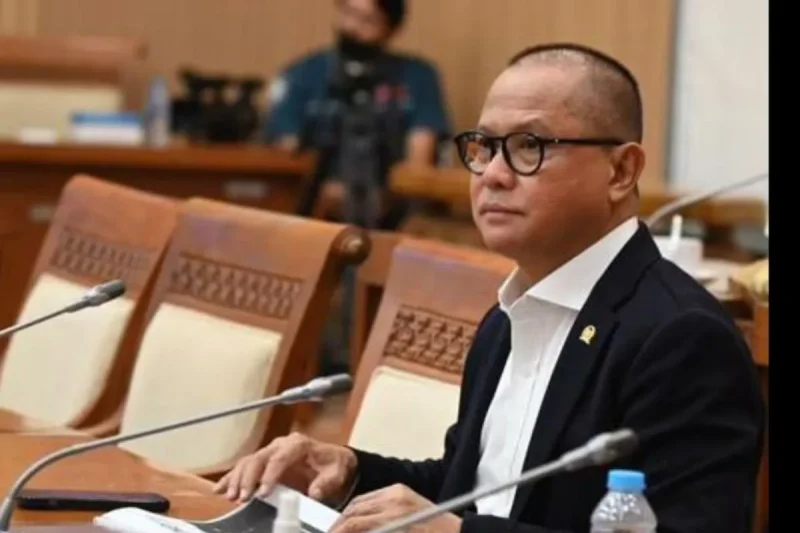 anggota dpr